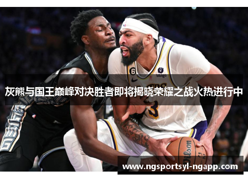 灰熊与国王巅峰对决胜者即将揭晓荣耀之战火热进行中
