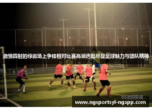 激情四射的绿茵场上争锋相对比赛高潮迭起尽显足球魅力与团队精神