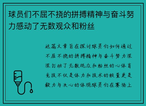 球员们不屈不挠的拼搏精神与奋斗努力感动了无数观众和粉丝