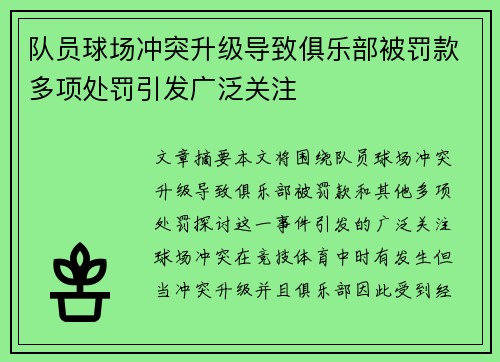 队员球场冲突升级导致俱乐部被罚款多项处罚引发广泛关注