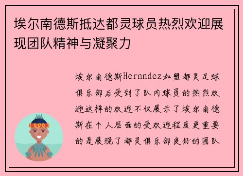 埃尔南德斯抵达都灵球员热烈欢迎展现团队精神与凝聚力