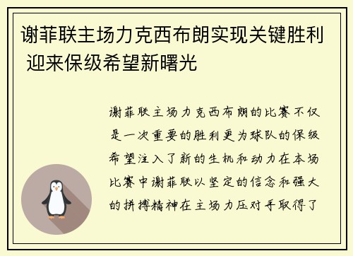 谢菲联主场力克西布朗实现关键胜利 迎来保级希望新曙光